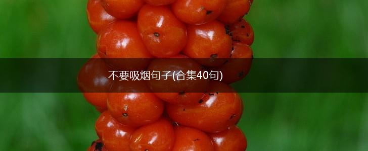 不要吸烟句子(合集40句),第1张