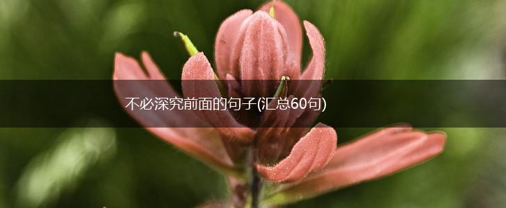 不必深究前面的句子(汇总60句),第1张