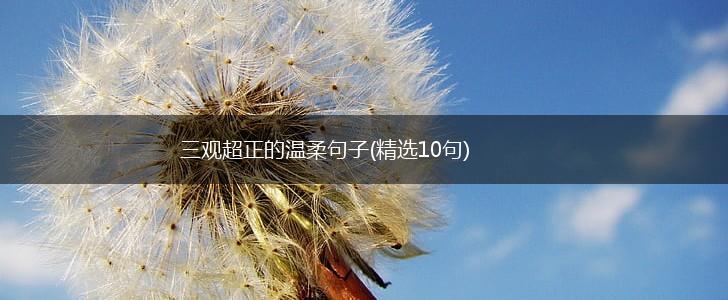 三观超正的温柔句子(精选10句),第1张