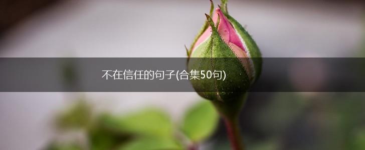 不在信任的句子(合集50句),第1张