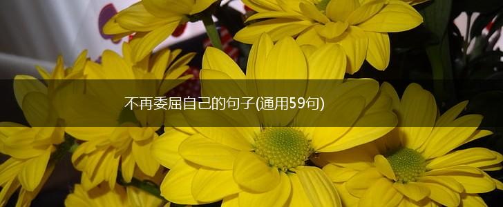 不再委屈自己的句子(通用59句),第1张