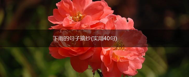 下雨的句子摘抄(实用40句),第1张