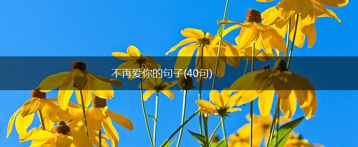 不再爱你的句子(40句),第1张
