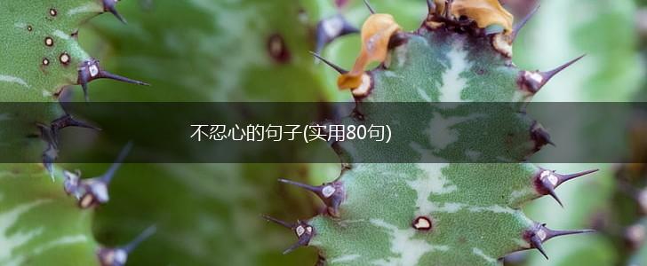 不忍心的句子(实用80句),第1张