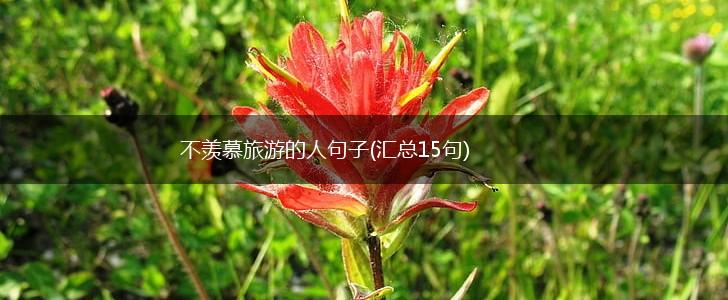 不羡慕旅游的人句子(汇总15句),第1张