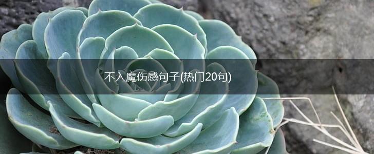 不入魔伤感句子(热门20句),第1张