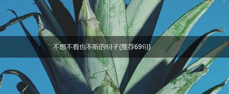 不想不看也不听的句子(推荐69句),第1张