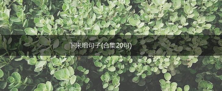 下来组句子(合集20句),第1张