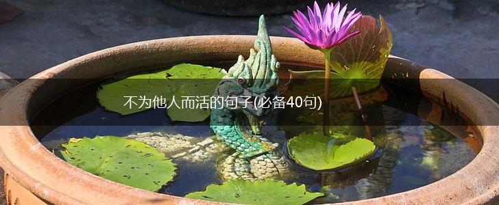 不为他人而活的句子(必备40句),第1张
