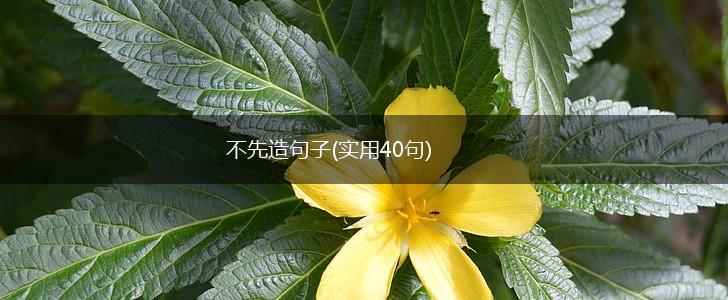不先造句子(实用40句),第1张