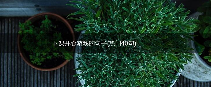 下课开心游戏的句子(热门40句),第1张