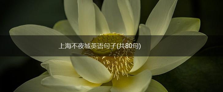 上海不夜城英语句子(共80句),第1张
