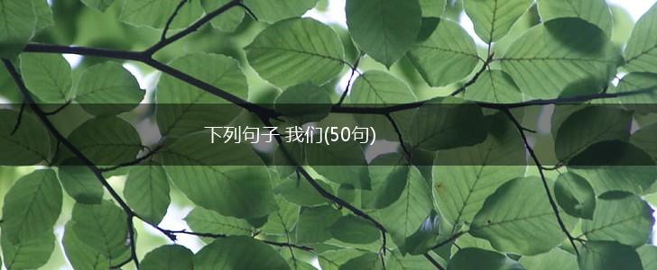 下列句子 我们(50句),第1张
