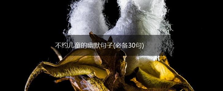 不约儿童的幽默句子(必备30句),第1张