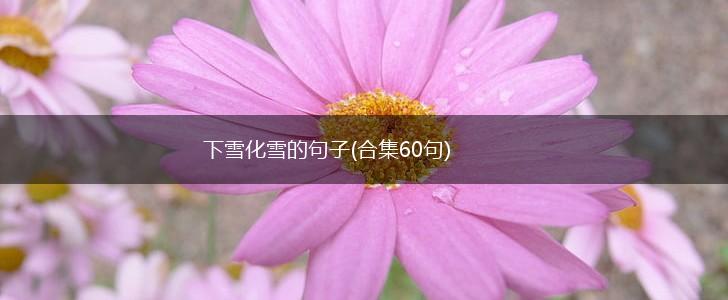 下雪化雪的句子(合集60句),第1张
