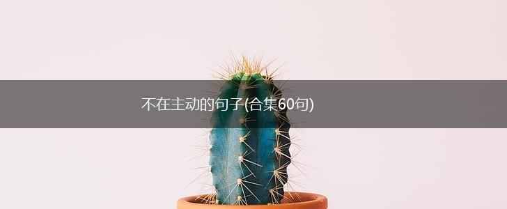 不在主动的句子(合集60句),第1张