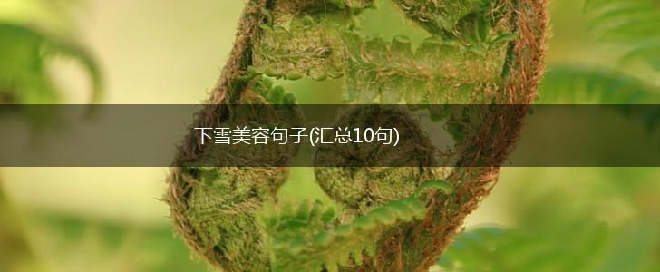 下雪美容句子(汇总10句),第1张