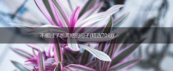 不想过了想离婚的句子(精选70句),第1张