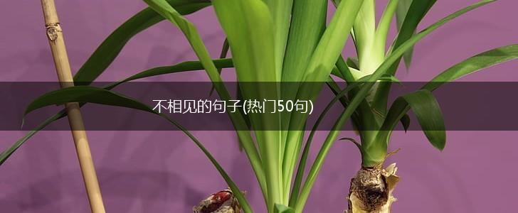 不相见的句子(热门50句),第1张