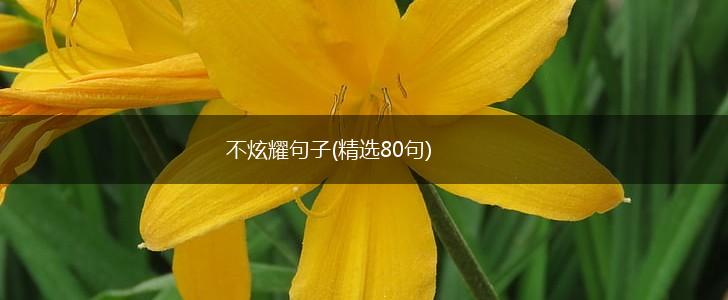 不炫耀句子(精选80句),第1张