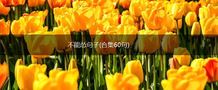 不能怂句子(合集60句),第1张