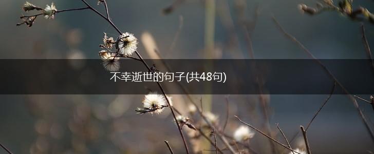 不幸逝世的句子(共48句),第1张