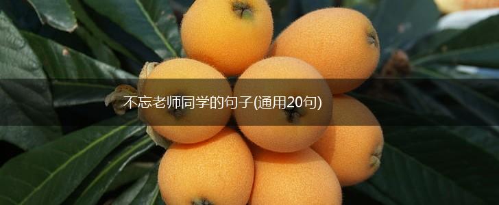 不忘老师同学的句子(通用20句),第1张