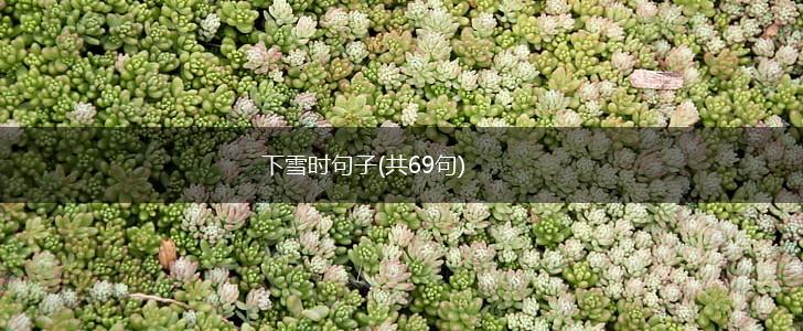 下雪时句子(共69句),第1张