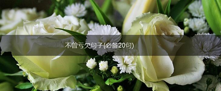 不曾亏欠句子(必备20句),第1张