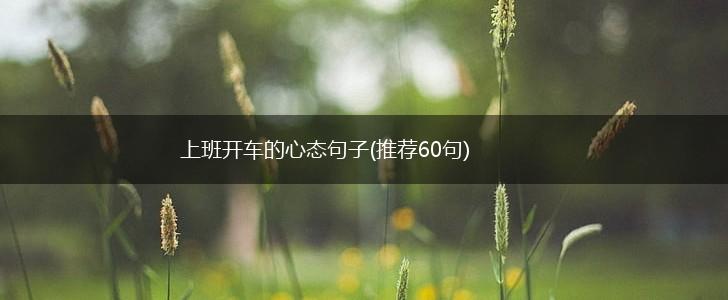 上班开车的心态句子(推荐60句),第1张