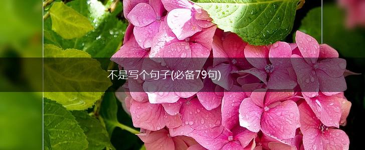 不是写个句子(必备79句),第1张