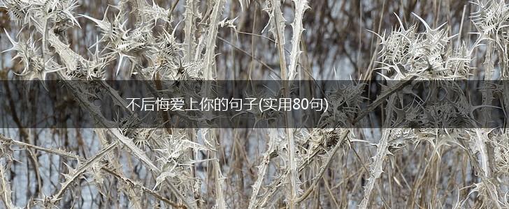 不后悔爱上你的句子(实用80句),第1张