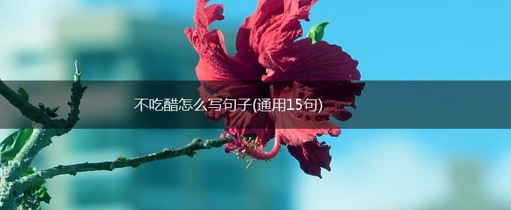 不吃醋怎么写句子(通用15句),第1张