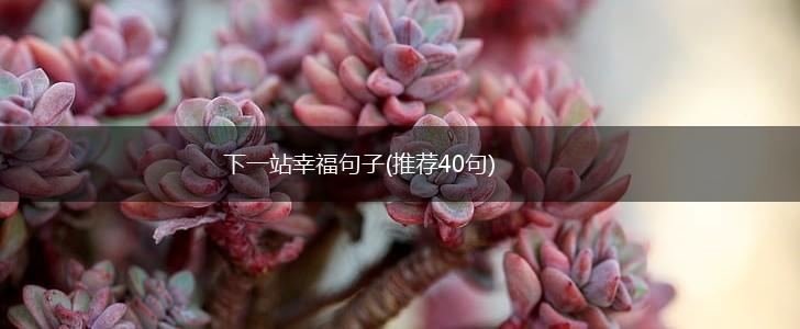 下一站幸福句子(推荐40句),第1张