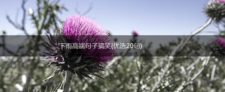 下雨高端句子搞笑(优选20句),第1张