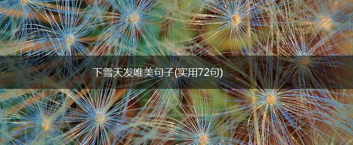 下雪天发唯美句子(实用72句),第1张