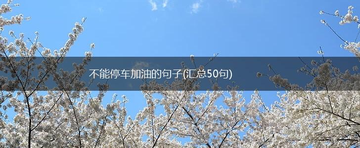 不能停车加油的句子(汇总50句),第1张