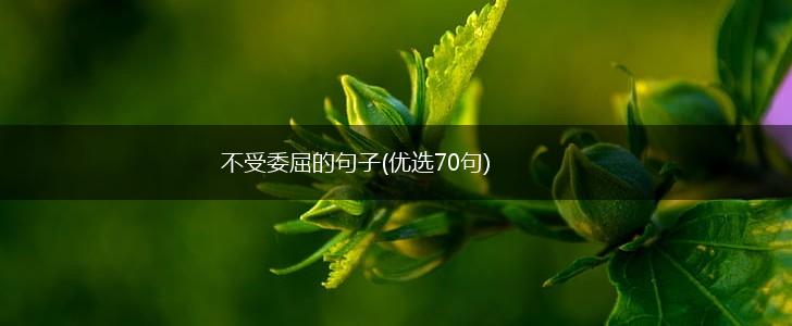 不受委屈的句子(优选70句),第1张