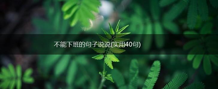 不能下班的句子说说(实用40句),第1张