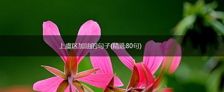 上虞区加油的句子(精选80句),第1张