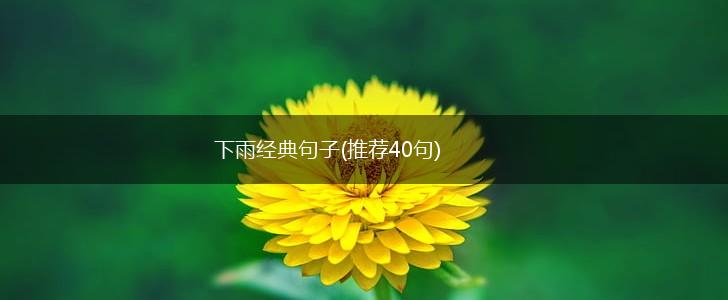 下雨经典句子(推荐40句),第1张