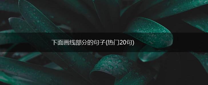 下面画线部分的句子(热门20句),第1张