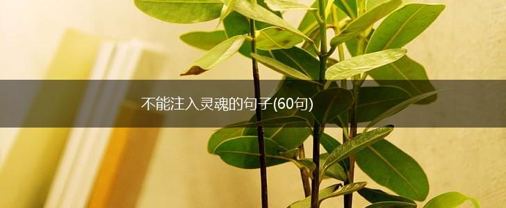 不能注入灵魂的句子(60句),第1张
