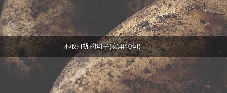 不敢打扰的句子(实用40句),第1张