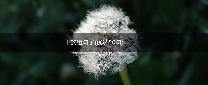 下的组句子(优选50句),第1张