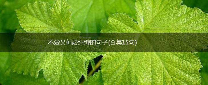 不爱又何必纠缠的句子(合集15句),第1张