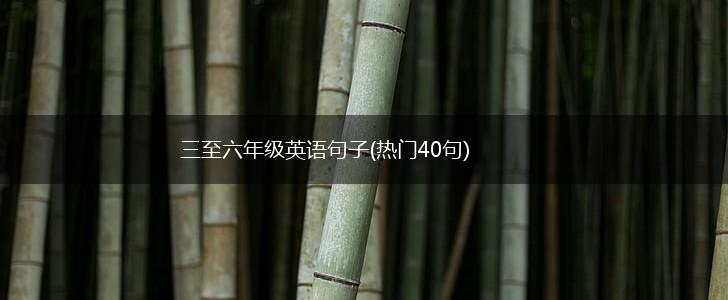 三至六年级英语句子(热门40句),第1张