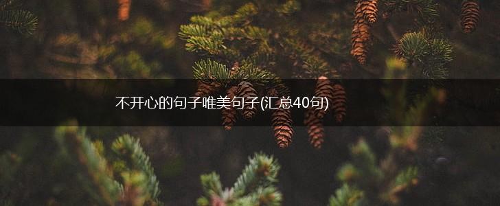 不开心的句子唯美句子(汇总40句),第1张