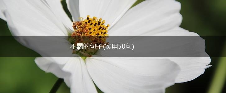 不羁的句子(实用50句),第1张