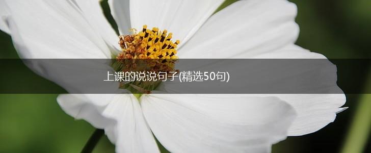 上课的说说句子(精选50句),第1张